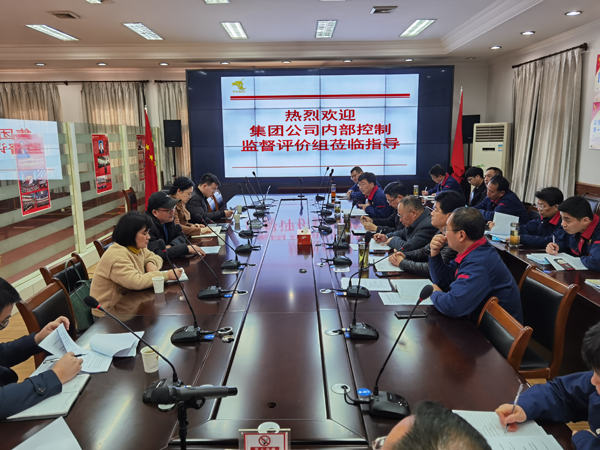 集团ky开元官网在线到ky开元官网在线开展内控自评检查工作 