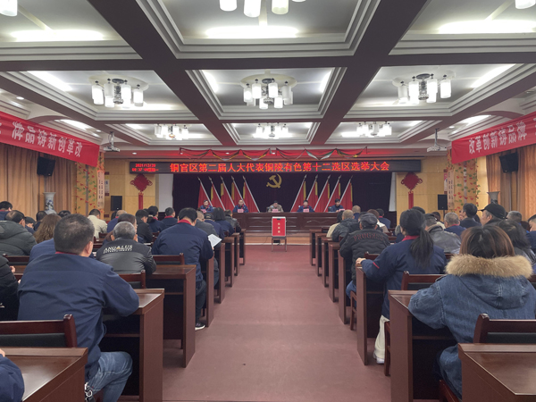 ky开元官网在线完成铜官区第二届人大代表选举工作 