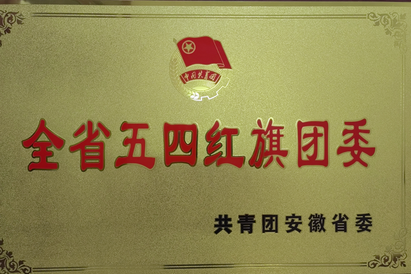 ky开元官网在线团委获得一项省级荣誉
