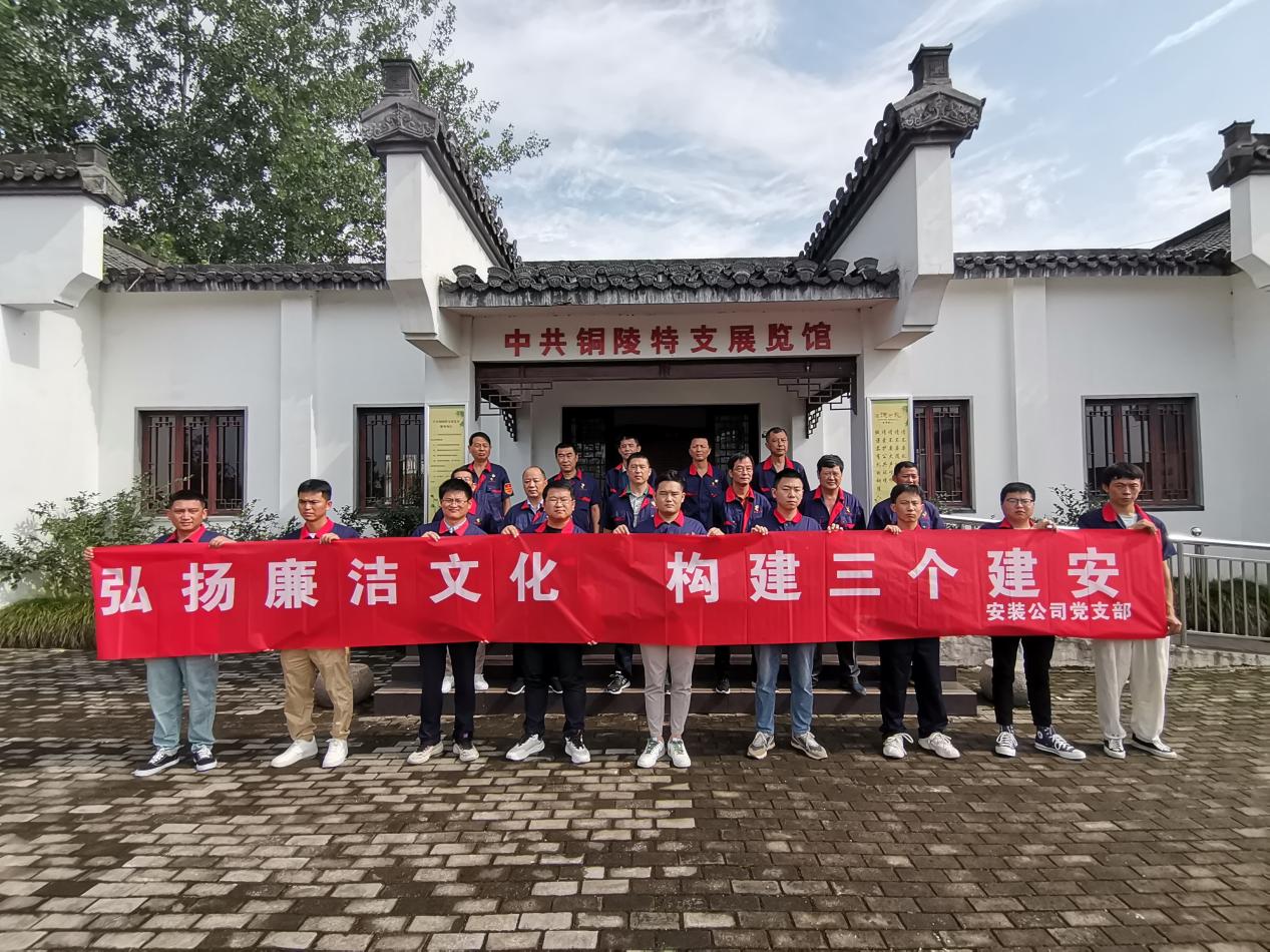 安装ky开元官网在线开展主题党日活动
