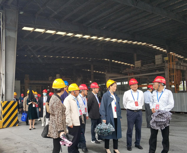 市人大代表到建材ky开元官网在线调研