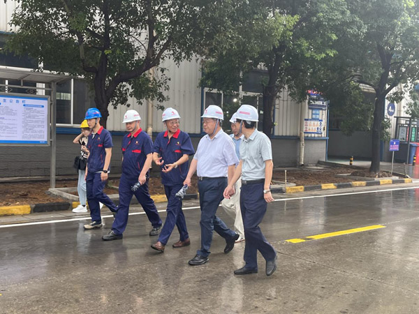 省生态环境厅到建材ky开元官网在线视察