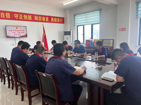 王伍升参加建材ky开元官网在线党支部主题党日活动